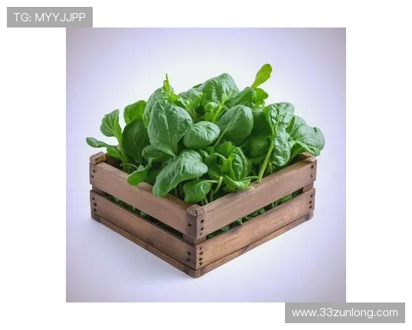 VP菠菜：探索菠菜在健康饮食中的重要性与营养价值