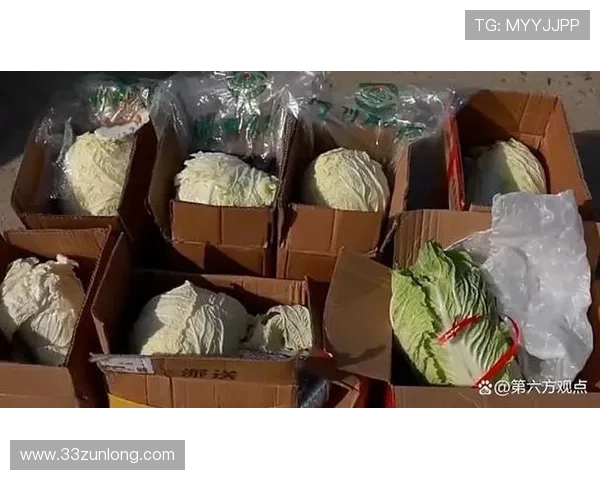 白菜分享君到底是真是假?揭秘背后的真相与骗局 白菜分享君到底是真是假?揭秘背后的真相与骗局